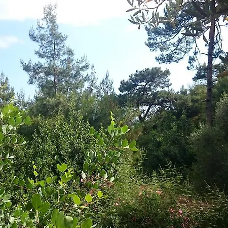 Camping Yerdeniz Kamp Ölüdeniz