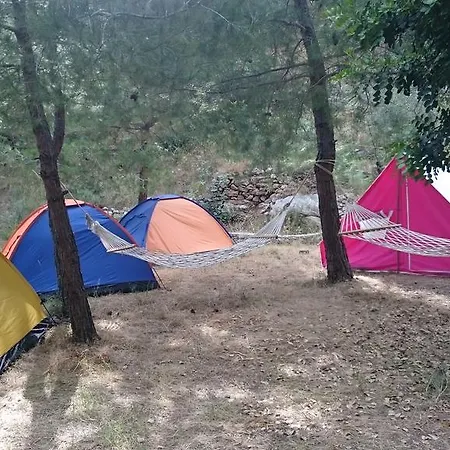 Yerdeniz Kamp *