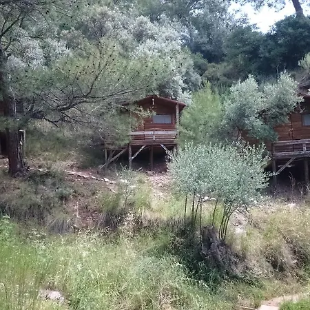 Yerdeniz Kamp Campingplads Ölüdeniz